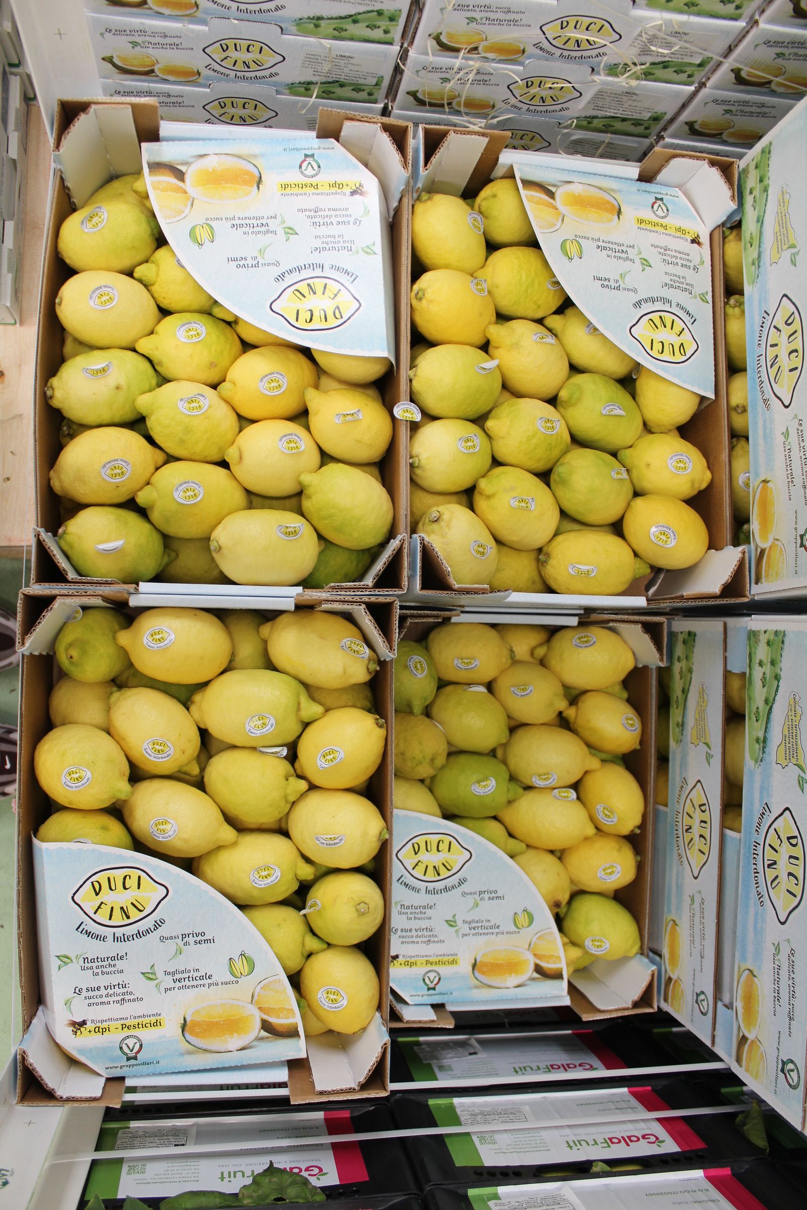 Limoni in cassetta