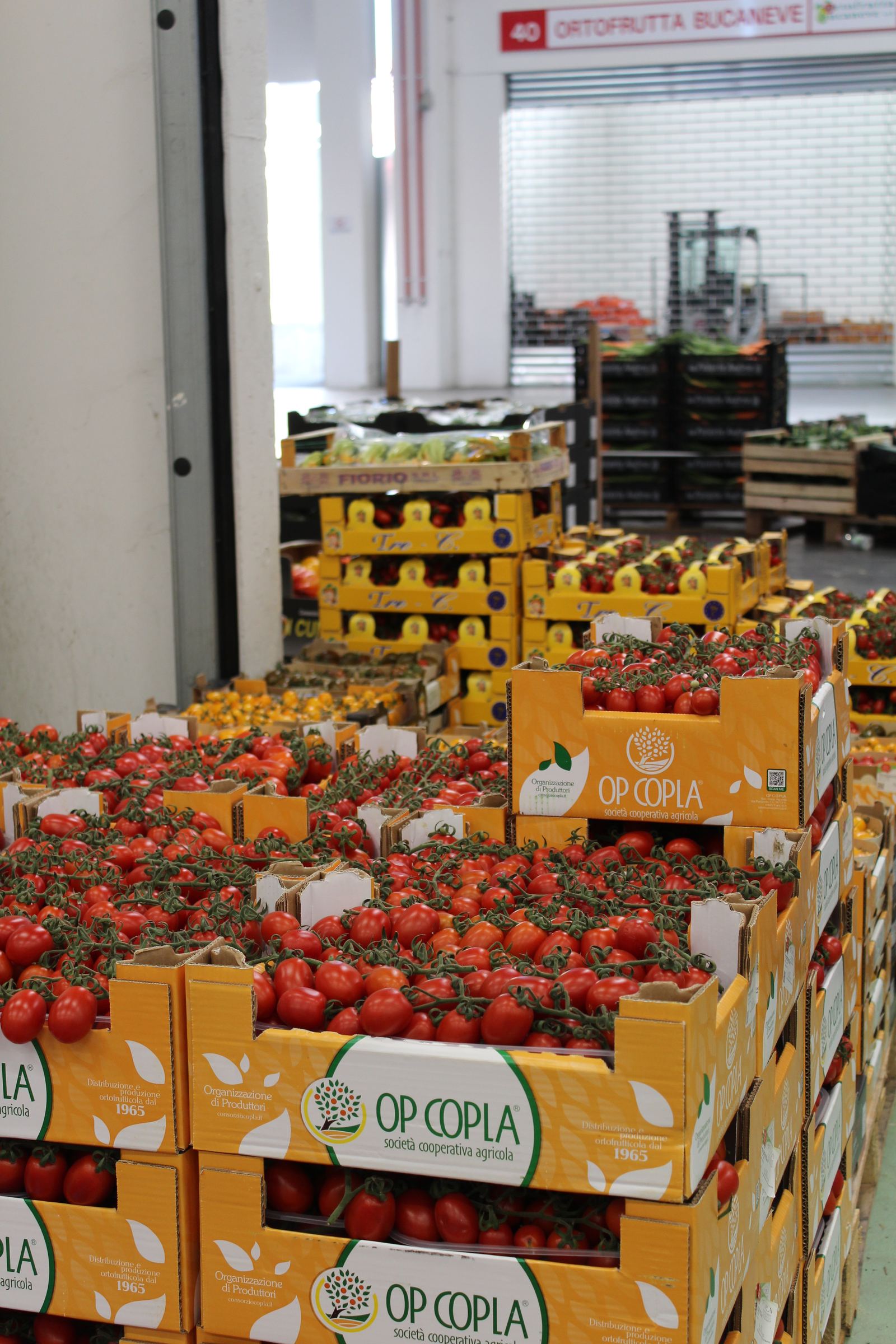 Pomodori a grappolo in cassetta